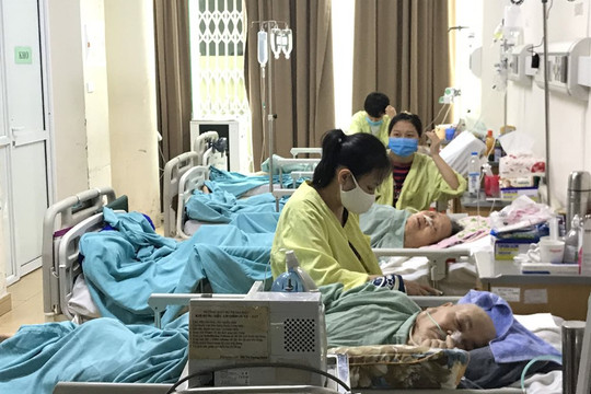 Nắng nóng, nhiều người cao tuổi nhập viện trong tình trạng nguy kịch