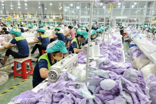 Bức tranh lạc quan của xuất khẩu dệt may