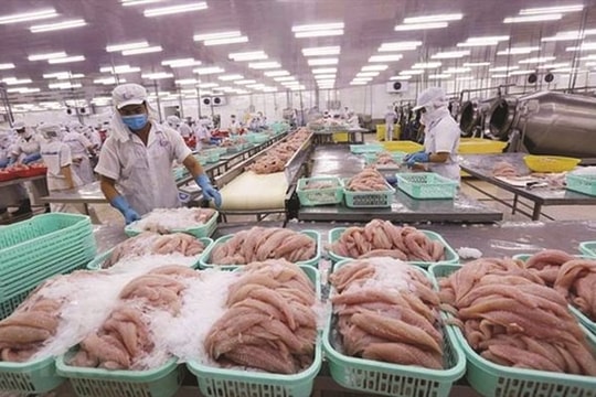 Xuất khẩu thủy sản năm 2022 kỳ vọng đạt 10 tỷ USD