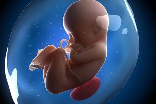 Nếu trong thai kỳ tồn tại 3 tình trạng này thì có thể là thai nhi “chậm lớn”, mẹ bầu cần lưu ý