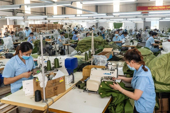 Doanh nghiệp mới gia nhập thị trường lập kỷ lục