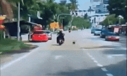 Quả dừa to rơi trúng đầu người phụ nữ đi xe máy gây tai nạn cực nguy hiểm