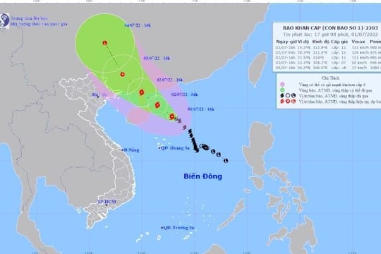 Các tỉnh thành ven biển cần chủ động ứng phó bão số 1
