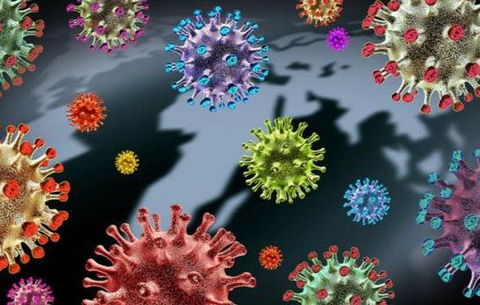 Việt Nam có thể ghi nhận nhiều ca nhiễm biến thể phụ BA.5
