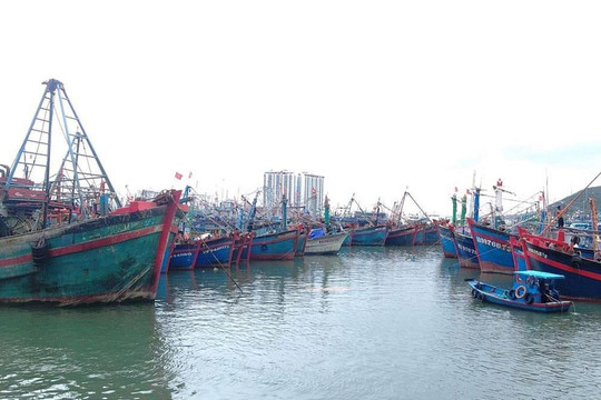Quảng Ngãi kêu gọi tàu, thuyền khẩn trương di chuyển ra khỏi vùng nguy hiểm