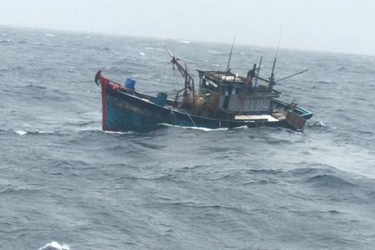 Quảng Nam: Đề nghị Bộ Ngoại giao hỗ trợ tàu cá QNa 95005 TS cùng 42 ngư dân bị phía Malaysia bắt giữ