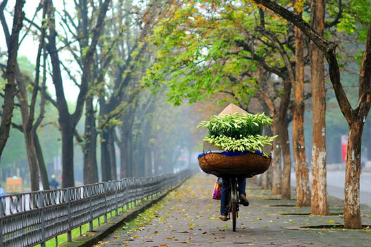 Thời tiết 3/7: Bắc Bộ hửng nắng, Nam Bộ mưa chiều