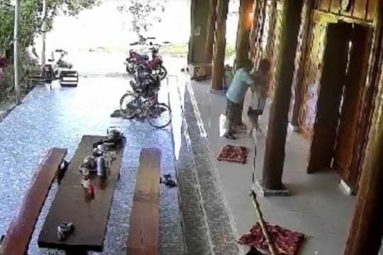 Xác minh clip người đàn ông có hành vi sàm sỡ bé gái  