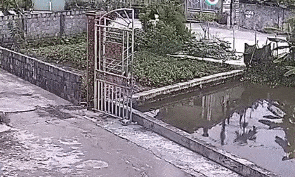 Bé trai vô tình trượt chân ngã xuống ao, giây phút khiến tất cả thót tim