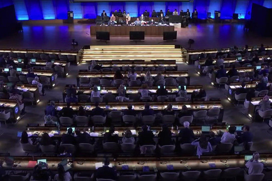 Việt Nam trúng cử vào Ủy ban liên Chính phủ Công ước UNESCO về Bảo vệ di sản văn hoá phi vật thể