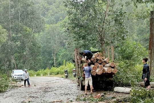 Tuyên Quang: Dông lốc gây thiệt hại cục bộ 