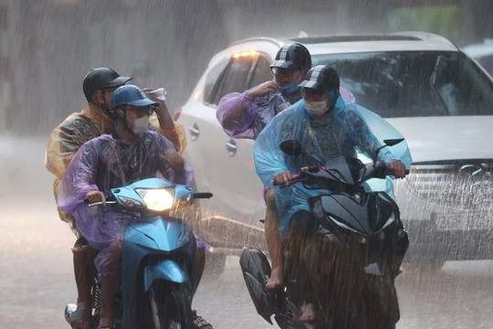 Bắc Bộ mát mẻ, Tây Nguyên và Nam Bộ mưa to đến rất to