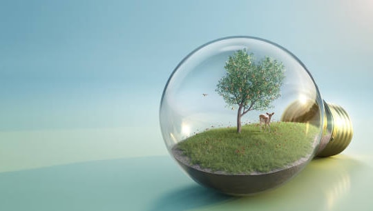 Thái Lan phát hiện hai người phụ nữ Ấn Độ xuất cảnh cùng 109 cá thể động vật hoang dã