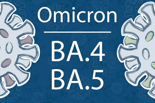 Tăng cường giám sát sự lưu hành của biến thể phụ BA.4, BA.5 và các biến thể khác