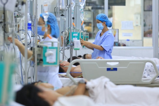 Hơn 26.000 ca sốt xuất huyết, TP.HCM ứng phó như thế nào?