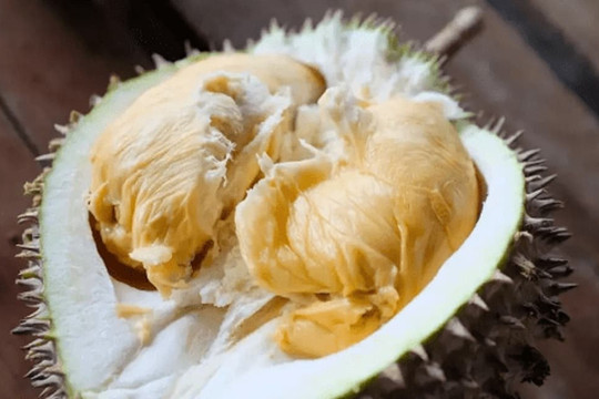 Cách khử mùi sầu riêng trong tủ lạnh