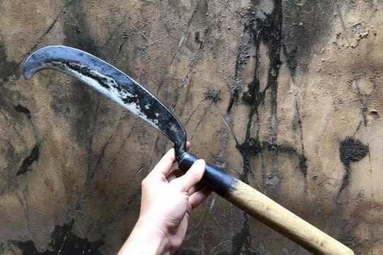 Điều tra nghi án con trai tâm thần sát hại mẹ ruột