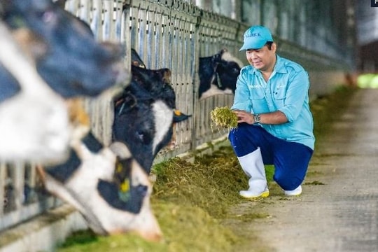 Vinamilk tăng cường đàn bò sữa cho các Green Farm với hơn 1.500 bò sữa nhập từ Mỹ
