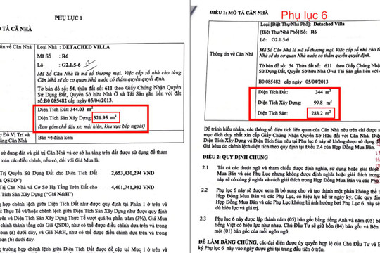 Dự án Swanbay (Nhơn Trạch, Đồng Nai): Chủ đầu tư bị tố “mập mờ” trong hợp đồng mua bán để “thu lợi bất chính”
