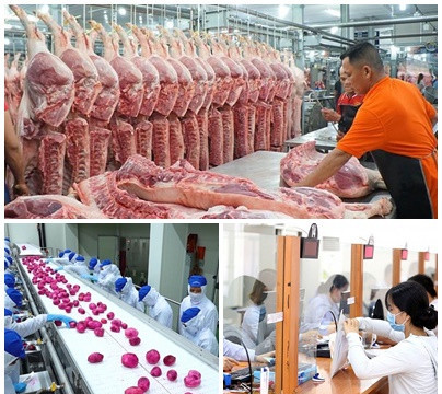 Chỉ đạo, điều hành của Chính phủ, Thủ tướng Chính phủ nổi bật từ 18-22/7