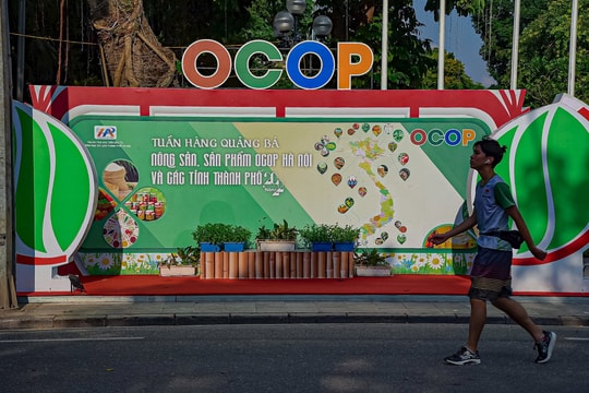 Độc đáo Tuần hàng quảng bá nông sản, sản phẩm OCOP của 29 tỉnh thành tại Hà Nội