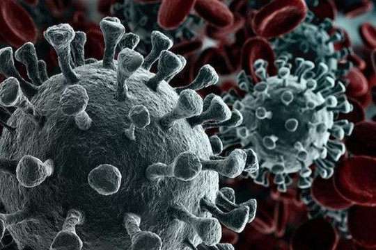Các biến chủng mới của virus có khả năng tiếp tục xuất hiện và lây lan