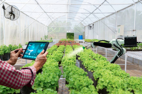 Ứng dụng IoT: Xu hướng tương lai của doanh nghiệp