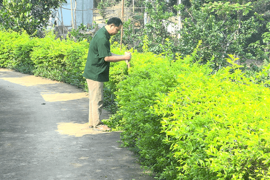 Phong trào cựu chiến binh giúp nhau giảm nghèo, làm kinh tế giỏi
