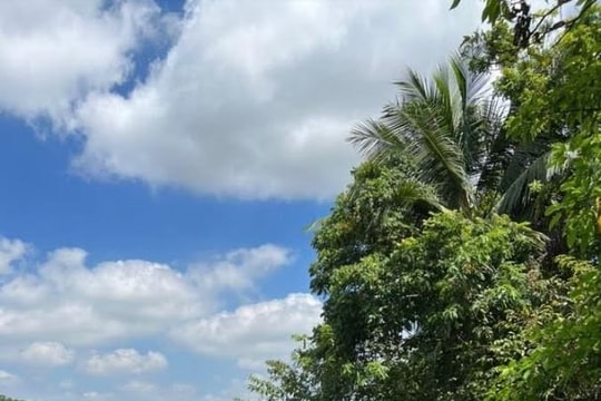 Phó Giám đốc Trung tâm quỹ đất huyện Kiến Thụy treo cổ tự tử