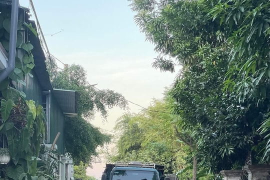 Nghệ An: Lùi xe bất cẩn, xe tải cán cháu bé 2 tuổi tử vong
