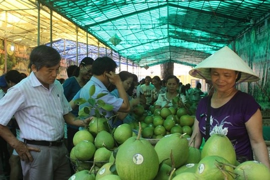 Lễ hội thanh trà Thuỷ Biều lần thứ VII- năm 2022 diễn ra từ ngày 1- 4/9