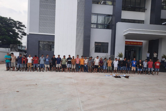 Triệt phá sới gà tại Núi Sam