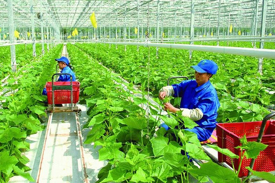 Giảm ít nhất 30% tổng lượng phát thải khí mê-tan vào năm 2030