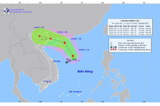 Áp thấp nhiệt đới mạnh lên thành bão số 2, giật cấp 10