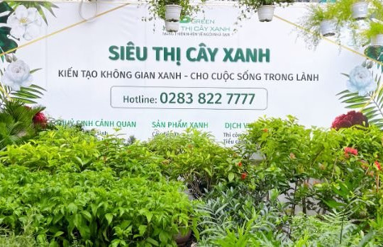Xây dựng thiên đường xanh cùng VsetNature và tập đoàn VsetGroup
