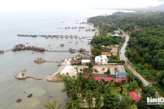 Phú Quốc: Khu bảo tồn biển tại ấp Cây Sao bị xâm hại nghiêm trọng 
