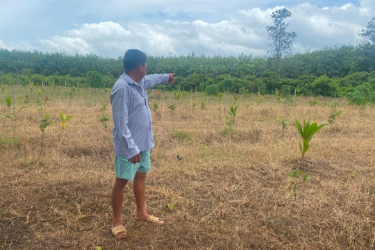Tây Ninh: Hàng chục năm trời mòn mỏi chờ cấp sổ đỏ
