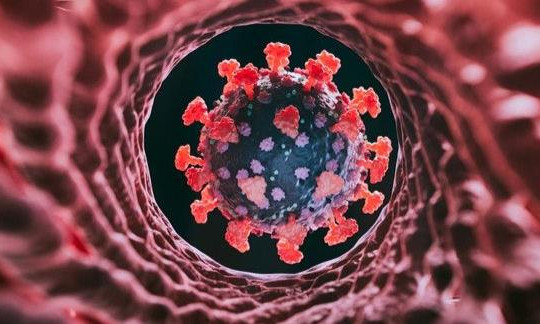 Nhiều biến thể lây lan nhanh của Omicron đã xâm nhập vào nước ta