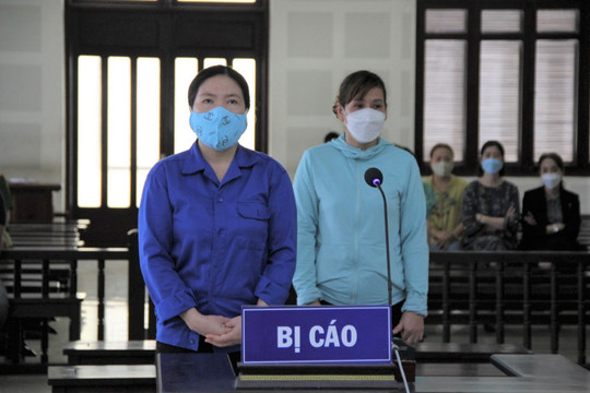 Nữ đại gia bất động sản và cựu cán bộ quản lý đất đai lĩnh án