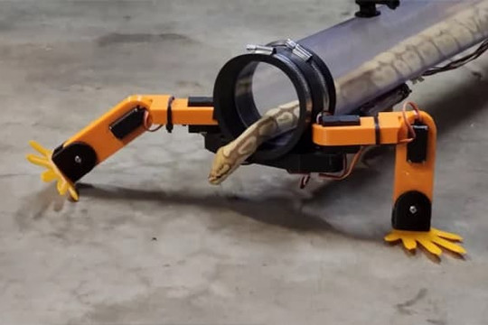 Kỹ sư thiết kế thiết bị kỳ lạ biến loài rắn thành 'động vật có 4 chân'