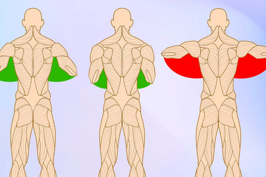 6 sai lầm khi tập gym bạn cần né để tránh 'xôi hỏng bỏng không', cơ bắp không thấy mà lại gặp chấn thương