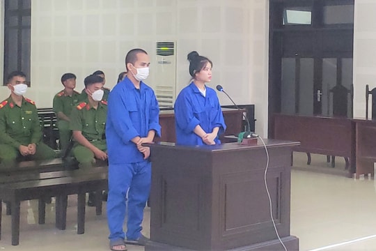 Cặp đôi phiên dịch viên tổ chức cho người khác nhập cảnh trái phép