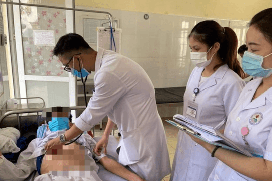 Mẹ tử vong, con nhập viện do ong vò vẽ đốt