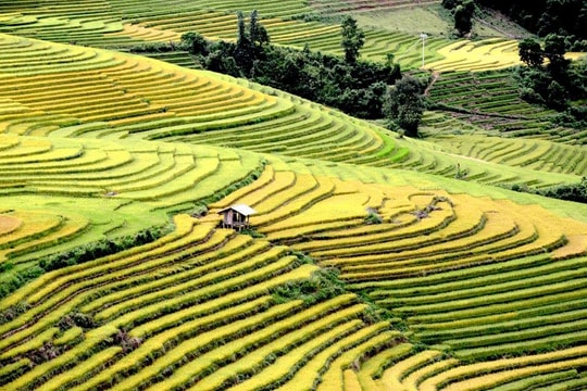Lễ hội mùa thu ‘Sa Pa - mùa vàng’ có gì hấp dẫn