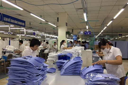 Ngành dệt may phát triển bền vững mô hình kinh tế tuần hoàn