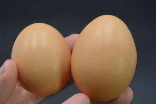 Khi mua trứng, nên chọn loại lớn hay nhỏ? Cô chú nông dân dạy cách, hãy báo cho gia đình biết càng sớm càng tốt