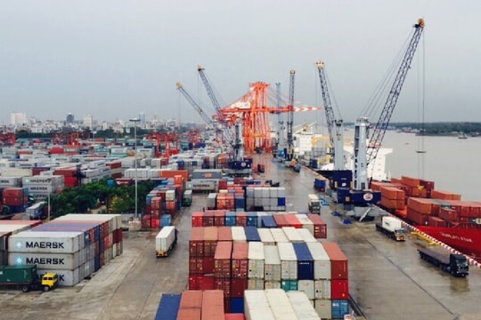 Xuất khẩu sang Hà Lan tăng hơn 1,4 tỷ USD
