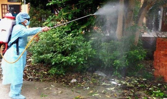 TPHCM: Số ca mắc sốt xuất huyết có chiều hướng giảm