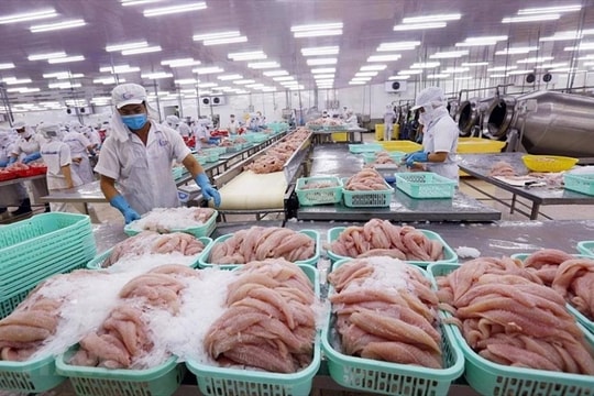 Tháng 8/2022, xuất khẩu thủy sản tiếp tục chậm lại