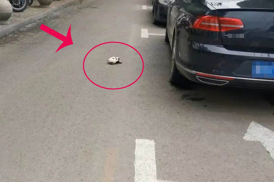 Dù có tiền hay không, ra đường cũng không nhặt được 4 thứ này, đừng coi thường mà hãy nói cho gia đình bạn biết